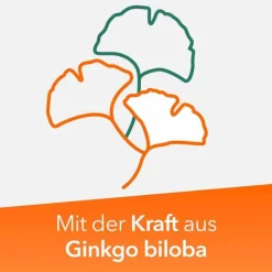 Ginkobil ratiopharm 240mg mit Ginkgo biloba, 60 St- Ginkgo
