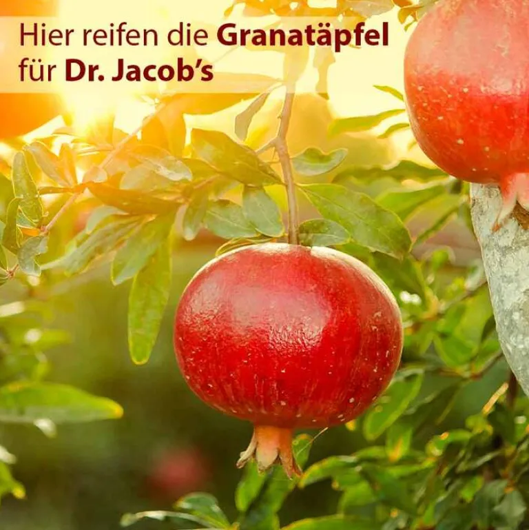 Dr. Jacobs Granatapfel Elixier mediterran Dr. Jacob`s, 500 ml- Durchblutung