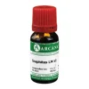 Arcana Graphites LM 6 Dilution, 10 ml- G