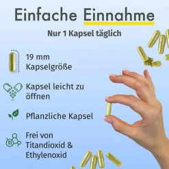 Jod aus Bio-Kelp 200 µg Kapseln, 365 St^Green Naturals Outlet