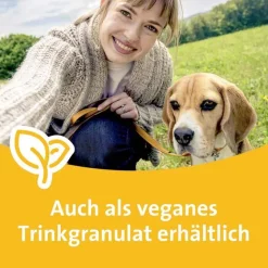 Grippostad Grippemittel-C Hartkapseln bei Erkältung, 24 St