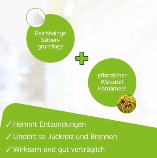 Hametum Hämorrhoiden Salbe-® Hämorrhoidensalbe, 50 g