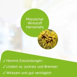 Hametum Hämorrhoiden Salbe-® Hämorrhoidenzäpfchen, 25 St