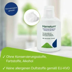 Reinigungsschaum, 100 ml^Hametum Discount