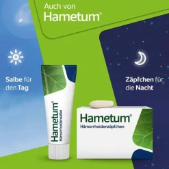 Reinigungsschaum, 100 ml^Hametum Discount