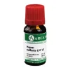 Arcana Hepar sulfuris LM 6 Dilution, 10 ml- H