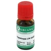 Arcana Hypericum LM 18 Dilution, 10 ml- H