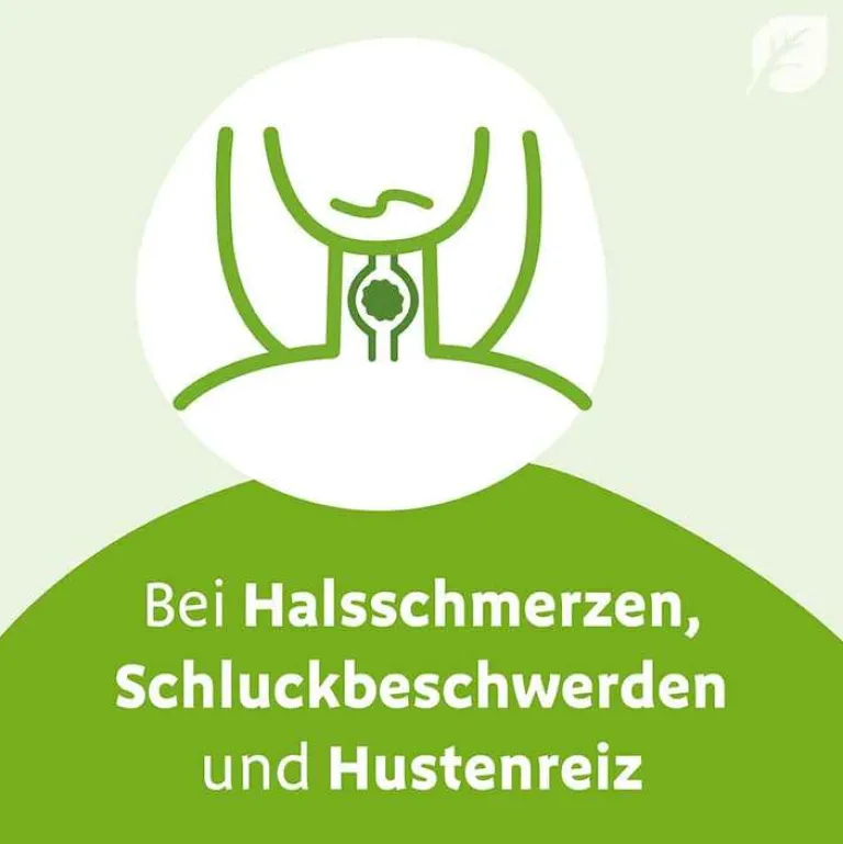 N Tropfen, 50 ml^Imupret Hot