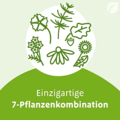 N Tropfen, 50 ml^Imupret Hot