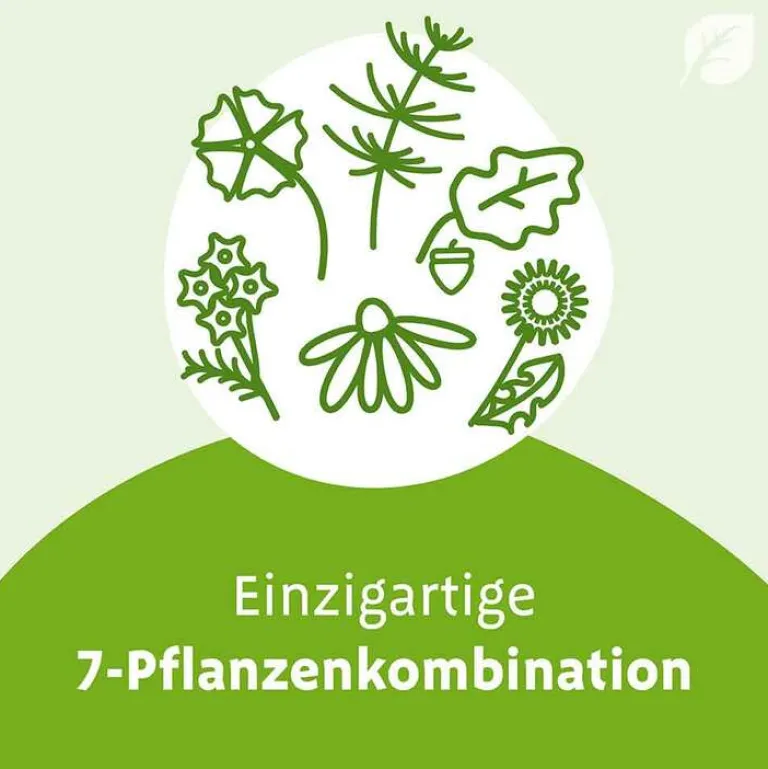 N Tropfen, 50 ml^Imupret Hot