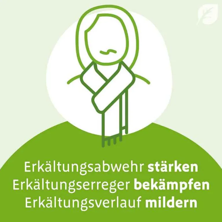 N Tropfen, 50 ml^Imupret Hot