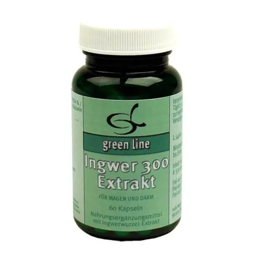 Green line Nutritheke Verdauung-Ingwer 300 Extrakt Kapseln, 60 St