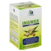 Ingwer 500 mg Kapseln + Vitamin B1 + C, 90 St^Avitale Sale