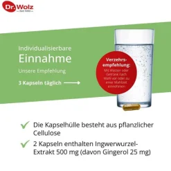 Dr. Wolz Ingwer Extrakt Kapseln, 120 St- Verdauung