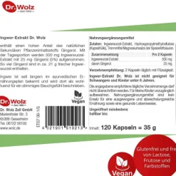Dr. Wolz Ingwer Extrakt Kapseln, 120 St- Verdauung