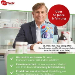 Dr. Wolz Ingwer Extrakt Kapseln, 120 St- Verdauung