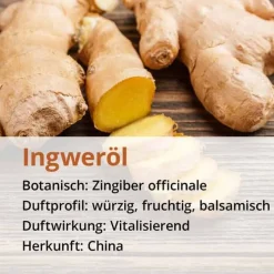 Casida Aromatische Düfte-Ingwer Öl naturrein ätherisches Öl, 10 ml