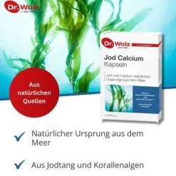 Dr. Wolz Jod Calcium Kapseln , 60 St- Jod