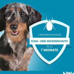 für große Hunde Halsband, 1 St^Kiltix Outlet