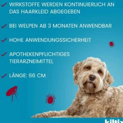 für große Hunde Halsband, 1 St^Kiltix Outlet
