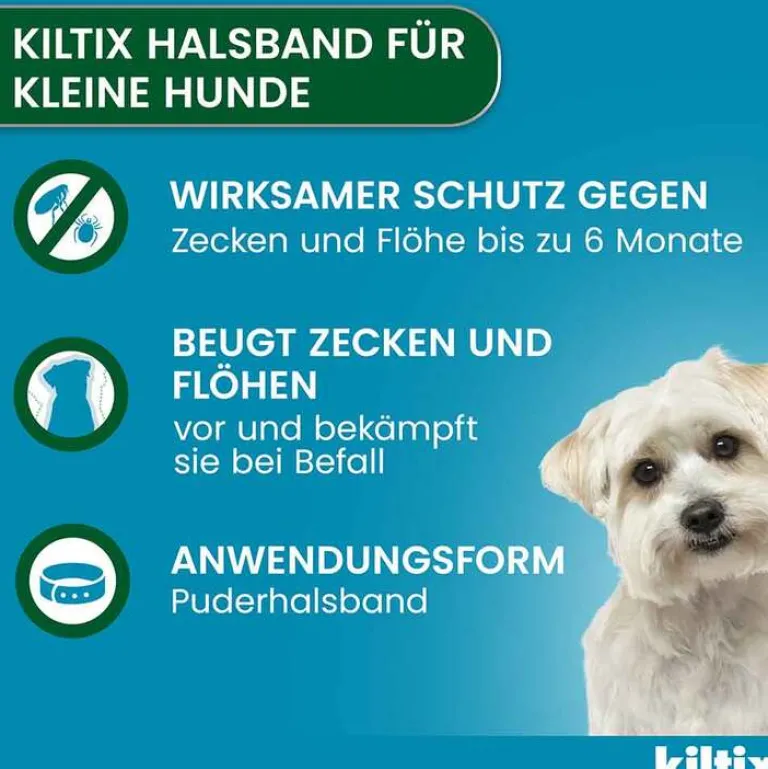 Kiltix für kleine Hunde Halsband, 1 St- Flöhe, Zecken & Co.
