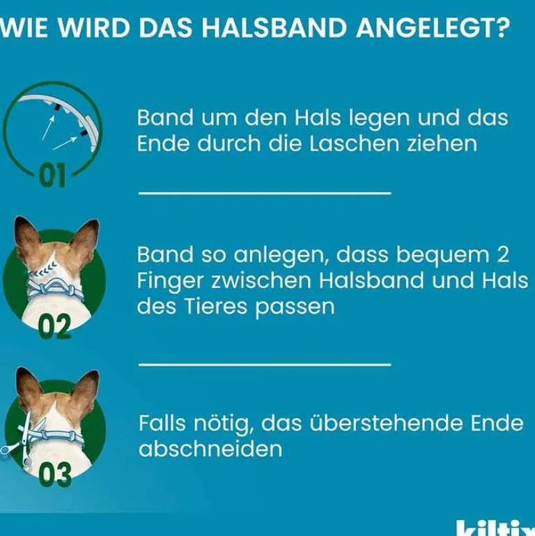 Kiltix für kleine Hunde Halsband, 1 St- Flöhe, Zecken & Co.