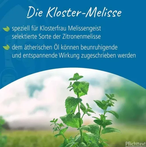 Klosterfrau Beruhigungsmittel|Verdauung-Melissengeist, 95 ml