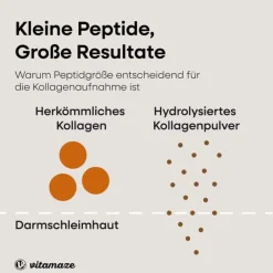 Kollagen-Kollagen Pulver + Biotin + Vitamin C, 480 g