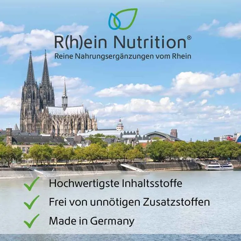 R(h)ein Nutrition Kurkuma Kapseln-Kurkuma 95% Curcumin + Piperin + Vitamin C vegan Kapseln , 120 St