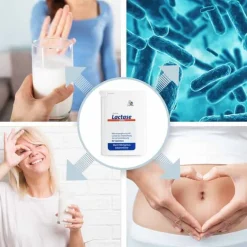 Avitale Laktase-Lactase 7.000 FCC Tabletten im Spender, 80 St