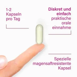 Lacto Intim Bakterienkulturen-Milchsäurebakterien + Biotin, 60 St