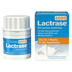 Lactrase 6.000 FCC Kapseln, 60 St- Laktase