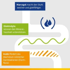 Laxatan M Granulat zur Herstellung einer Suspension zum Einnehmen , 10 St- Abführmittel