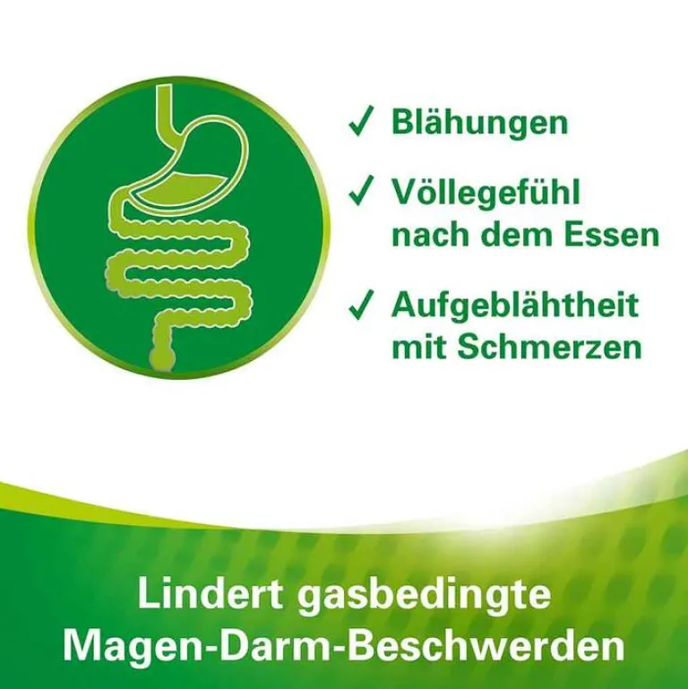 Enzym Kautabletten, 100 St^Lefax Outlet