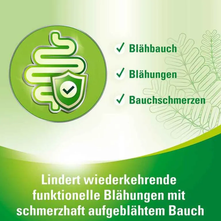 Lefaxan Medikamente Gegen Blähungen-protect Hartkapseln, 30 St