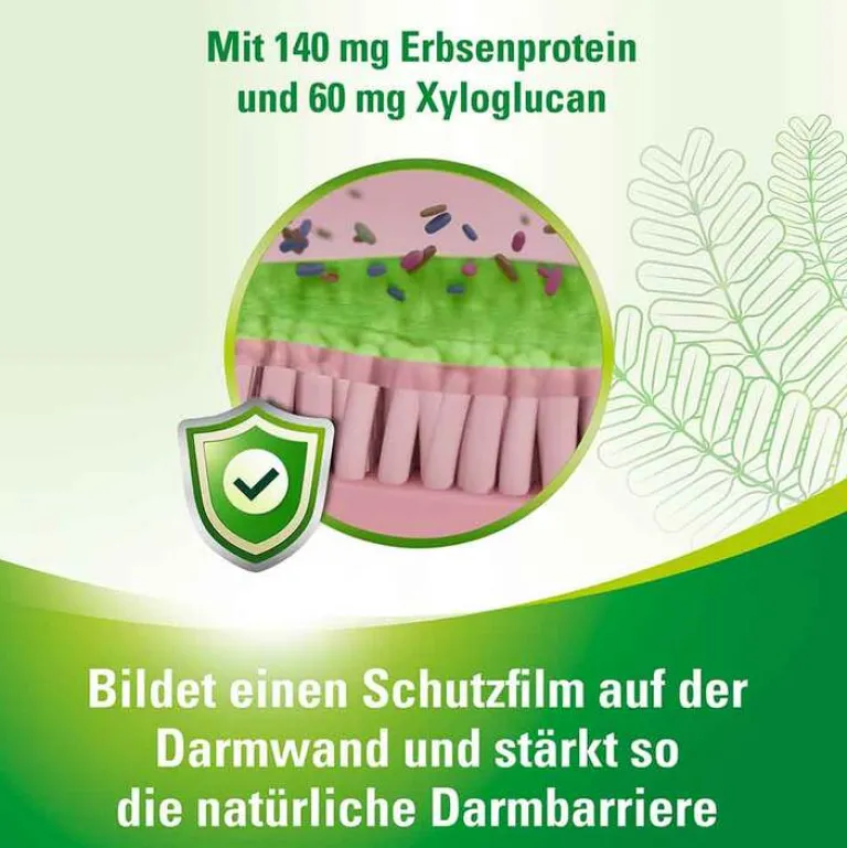 Lefaxan Medikamente Gegen Blähungen-protect Hartkapseln, 30 St