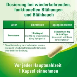 Lefaxan Medikamente Gegen Blähungen-protect Hartkapseln, 30 St