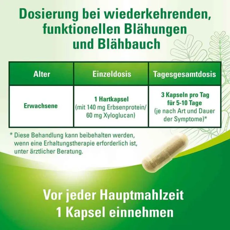 Lefaxan Medikamente Gegen Blähungen-protect Hartkapseln, 30 St