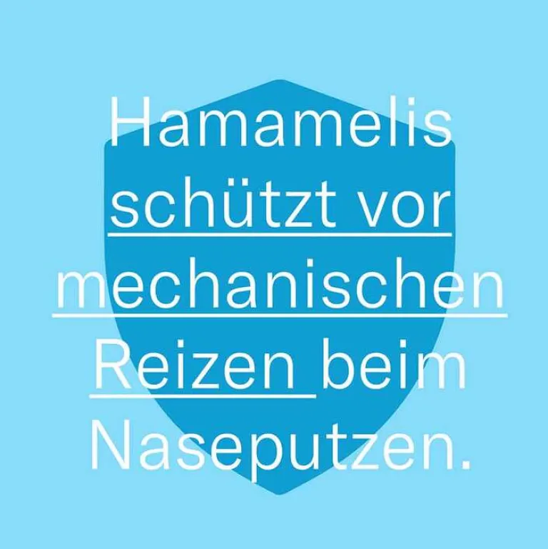 Leti balm Nase und Lippen, 10 ml- Lippenpflege