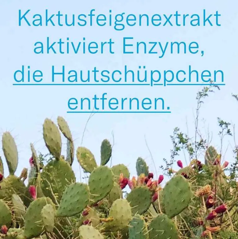 Leti Hornhaut-balm Repair Fußpflegecreme, 100 ml