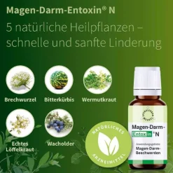 Magen Darm N Tropfen, 100 ml^Entoxin Outlet