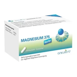 Magnesium 375 forte Kapseln, 120 St- Magnesium
