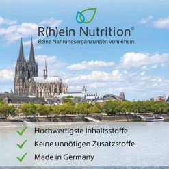 Magnesium|Erschöpfung-Magnesium Komplex 4in1 hochdosiert vegan Kapseln, 120 St