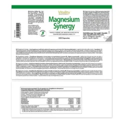 Magnesium Synergy Komplex Glycinat Malat & Citrat, 120 St^Vision Healthcare Discount
