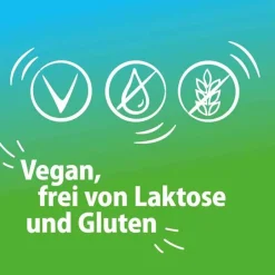 direkt 375 mg Granulat, 20 St^Magnetrans Hot