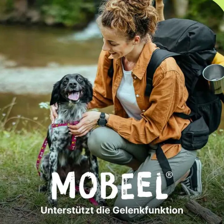 Ergänzungsfuttermittel Pulver für Hunde / Katzen, 150 g^Mobeel Clearance
