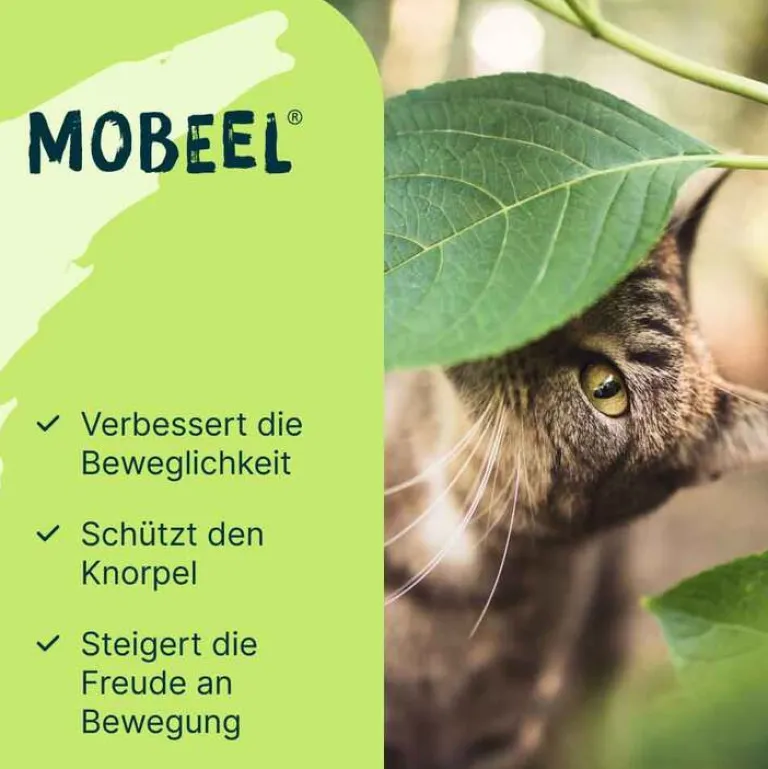 Ergänzungsfuttermittel Pulver für Hunde / Katzen, 150 g^Mobeel Clearance