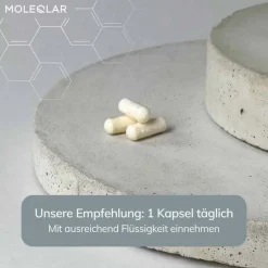 MoleQlar Longevity NR + Nicotinamid Kapseln, 30 St- Vitamin B3 (Niacin)