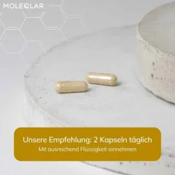 MoleQlar Vitamin B Komplex|Grüner Tee-Longevity Regenad Kapseln, 60 St
