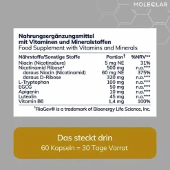 MoleQlar Vitamin B Komplex|Grüner Tee-Longevity Regenad Kapseln, 60 St